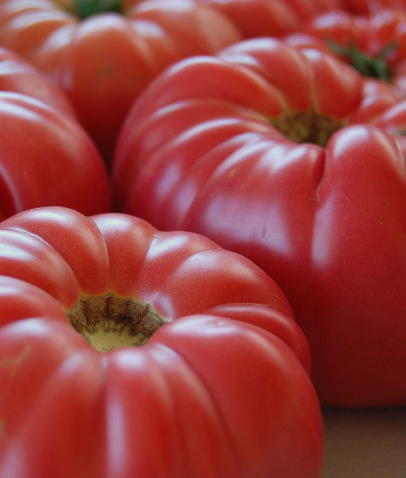 Tomato Organic Delicious Seed