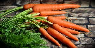 Carrot OrganicTendersweet Seed