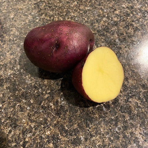 Potato Huckleberry Gold Seed