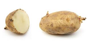 Potato Russet Seed