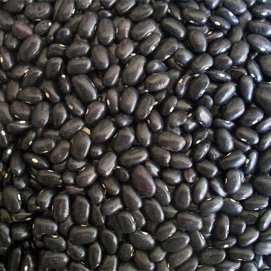 Bean Black Dry Seed