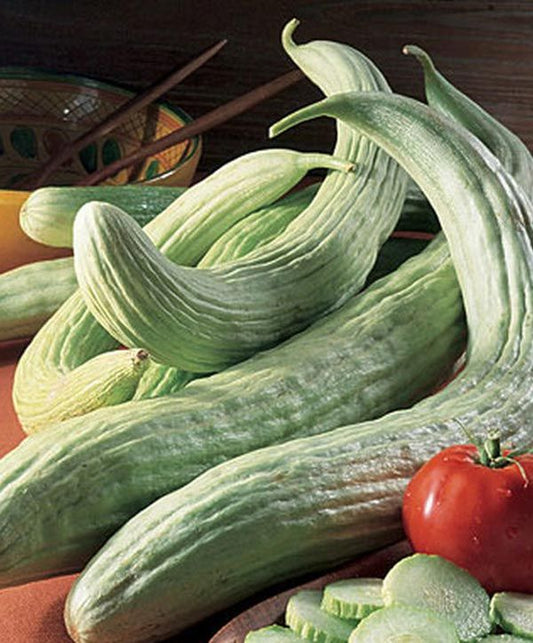 Cucumber Organic Armenian Seed