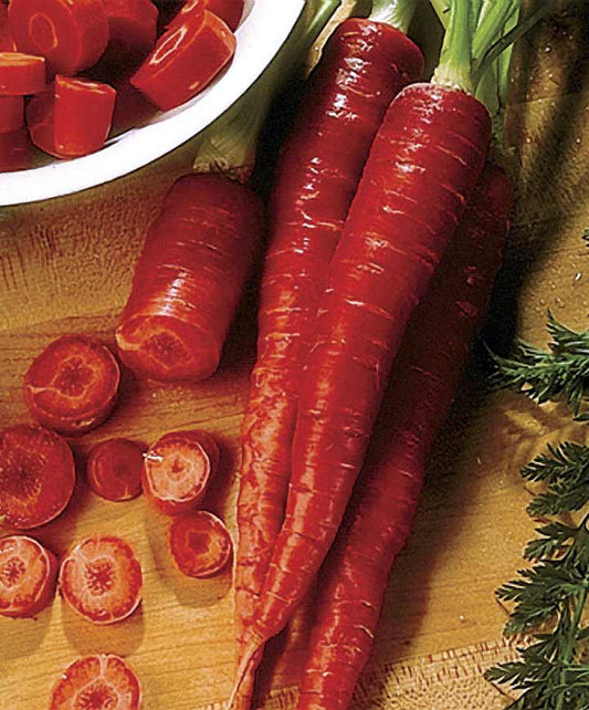 Carrot Atomic Red Seed