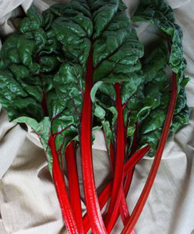 200+ Swiss Chard Rhubarb Seeds – Heirloom, Non-GMO, Vegetable Garden USA