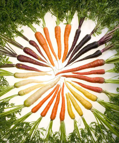 Carrot Rainbow Mix Seed