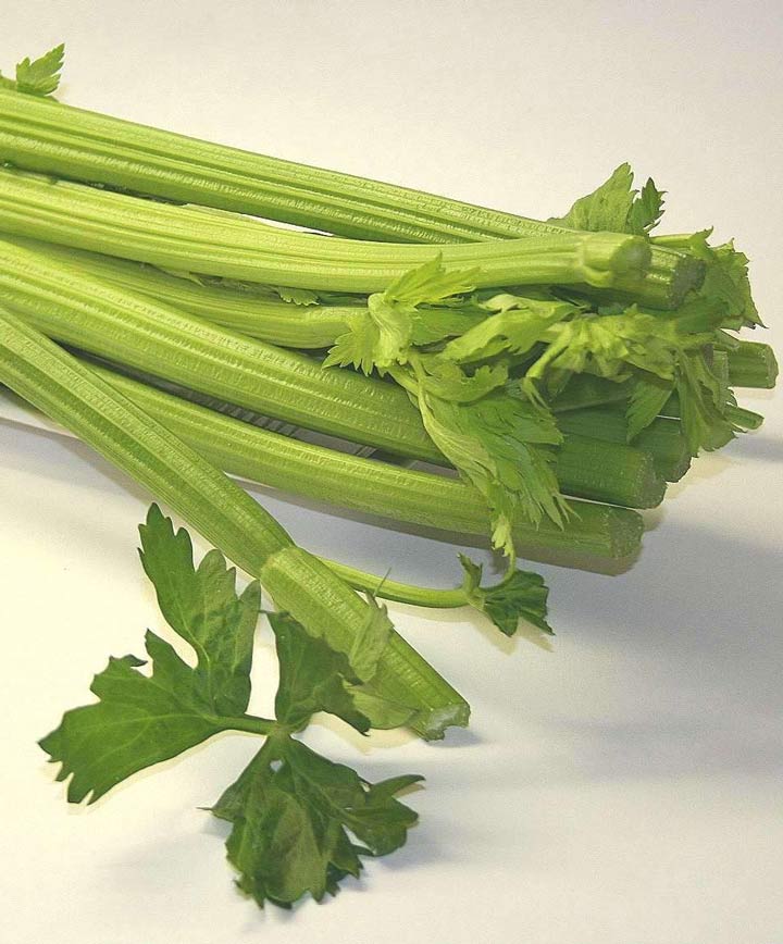 Celery Utah 52-70 Celery