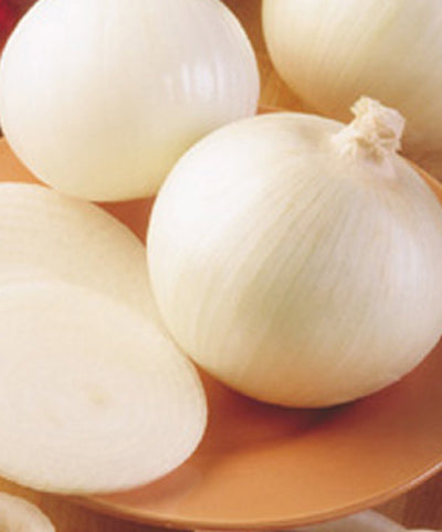 Onion Sierra Blanca Seed