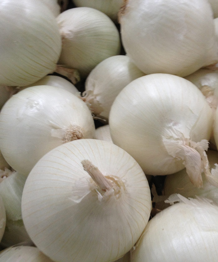 Onion White Spanish Seed