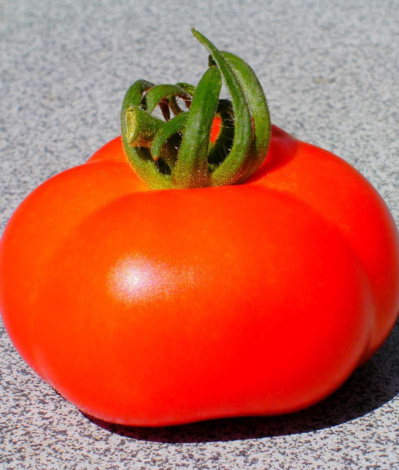 Tomato Big Beef Seed