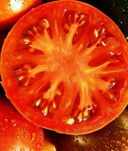 Tomato Brandywine Seed