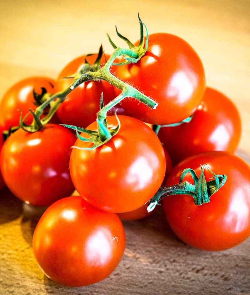 Tomato Celebrity Seed