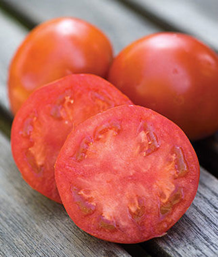 Tomato Health Choice Seedless Seed