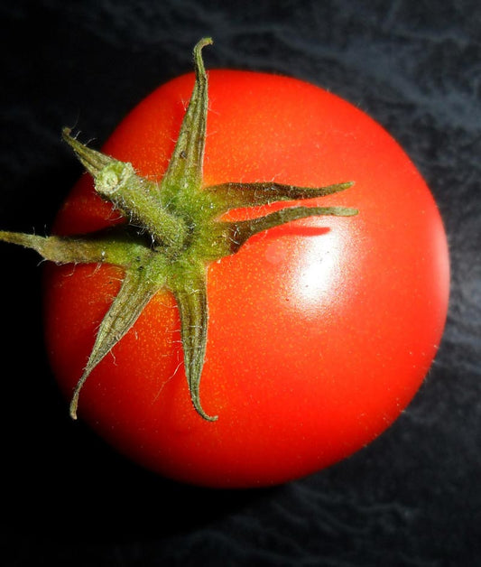 Tomato Jetsetter Seed