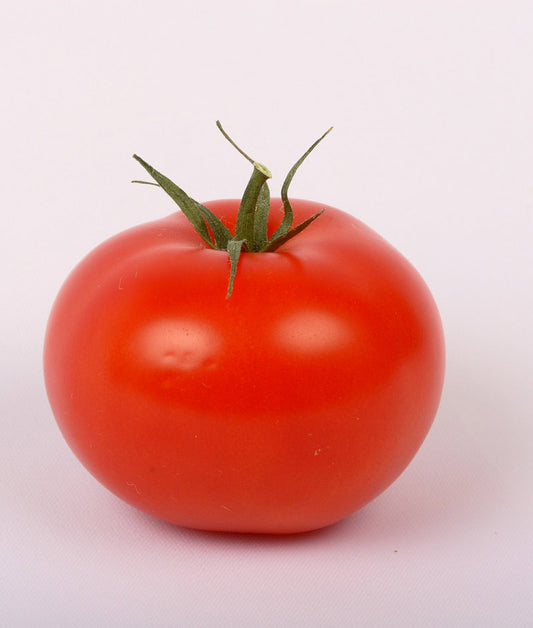 Tomato Moscow Seed
