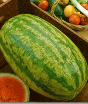 Watermelon Sangria Hybrid Seed