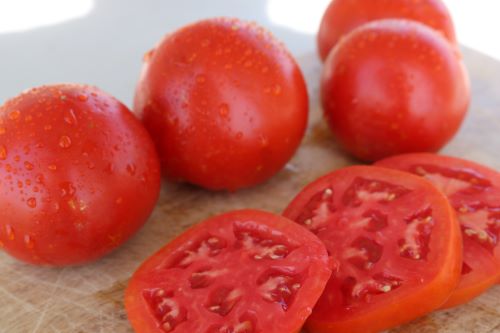 Tomato Celebrity Plus Seed