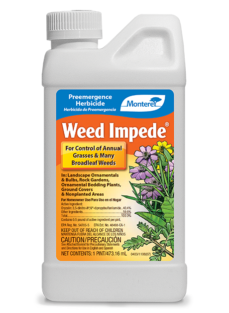 Monterey Weed Impede Pt