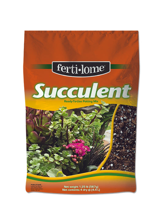 Succulent Mix