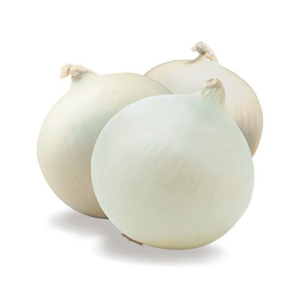 Onion Sierra Blanca Bundle